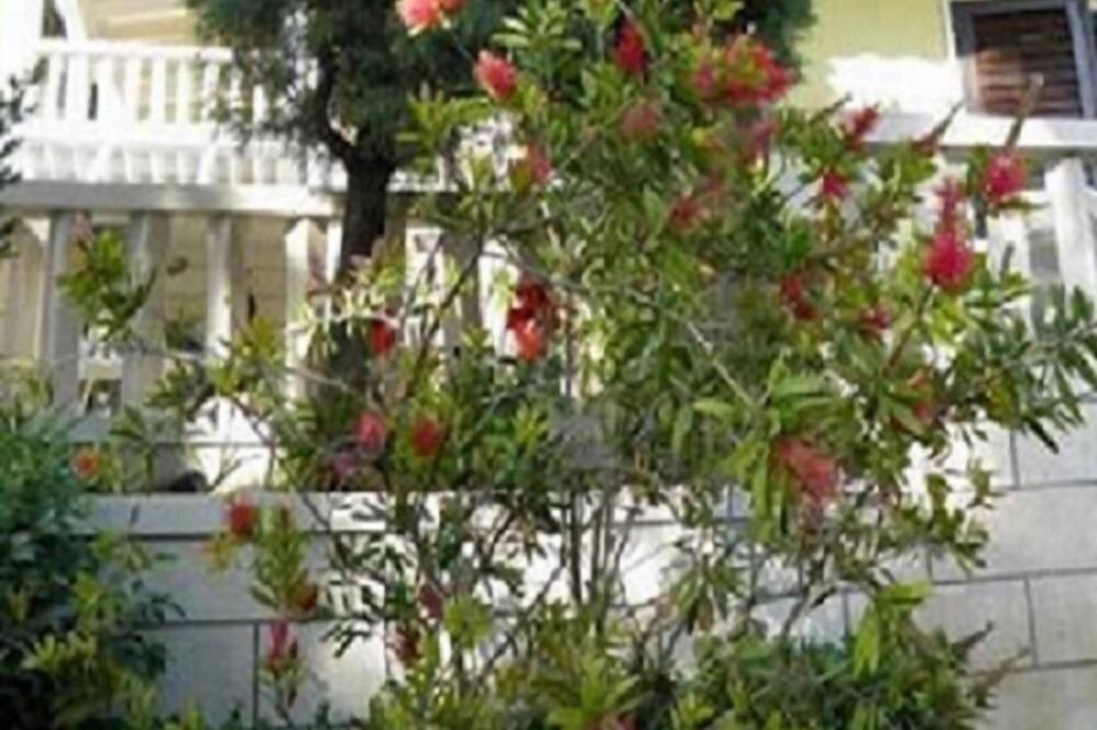 Photo of Outdoor in Brela