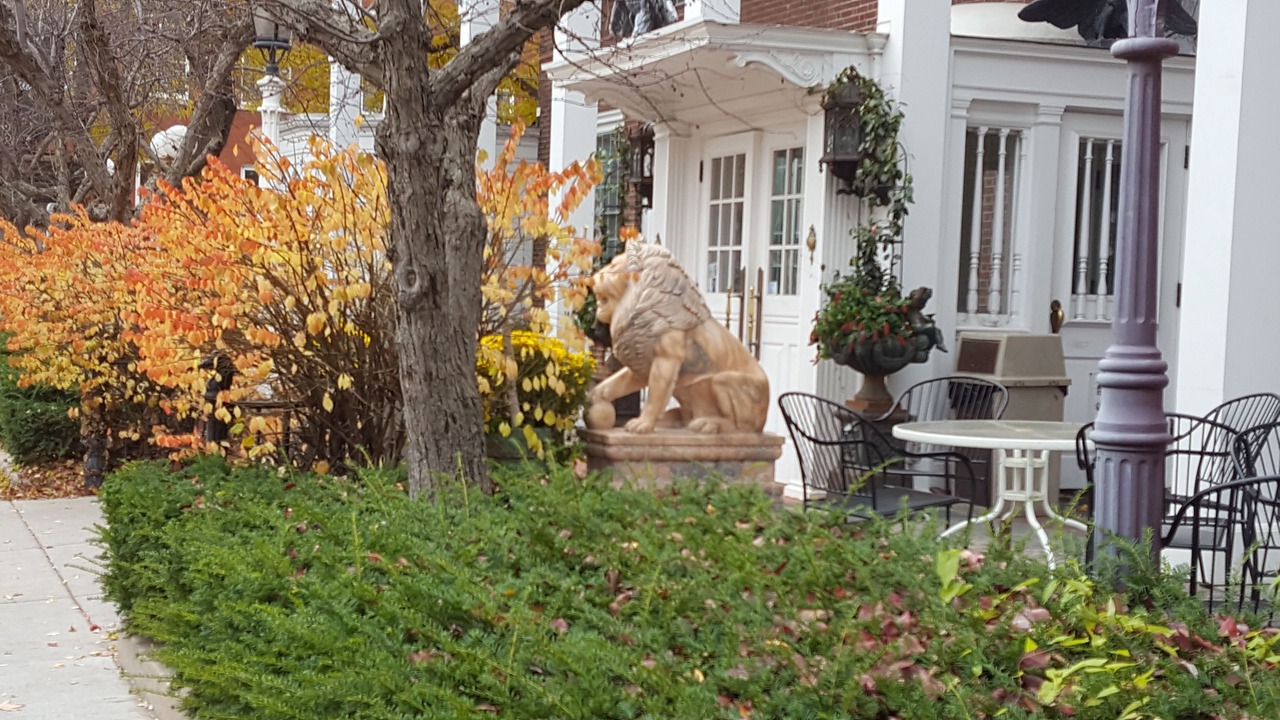 Photo of Outdoor in Stillwater