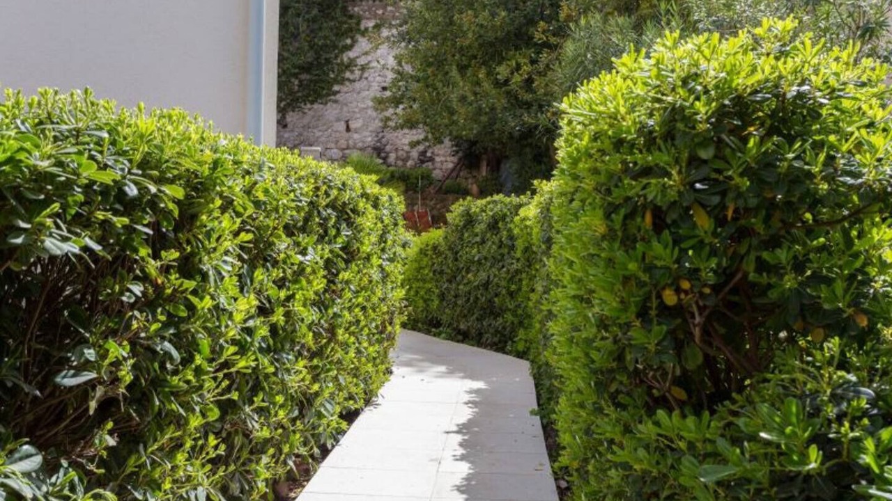 Photo of Outdoor in Lapad