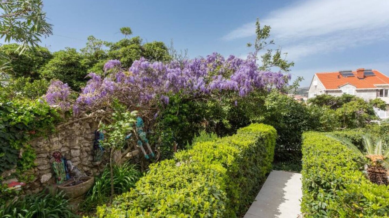 Photo of Outdoor in Lapad