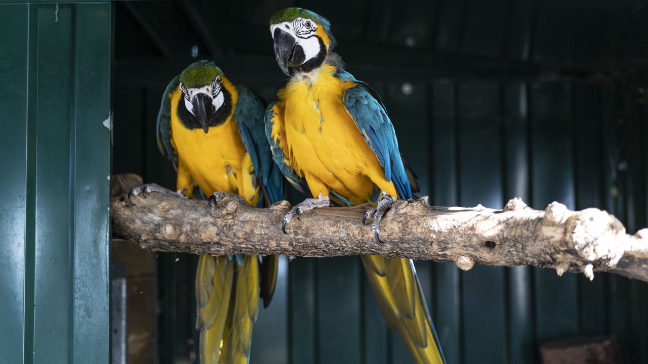 Photo of Outdoor in Le Rouret