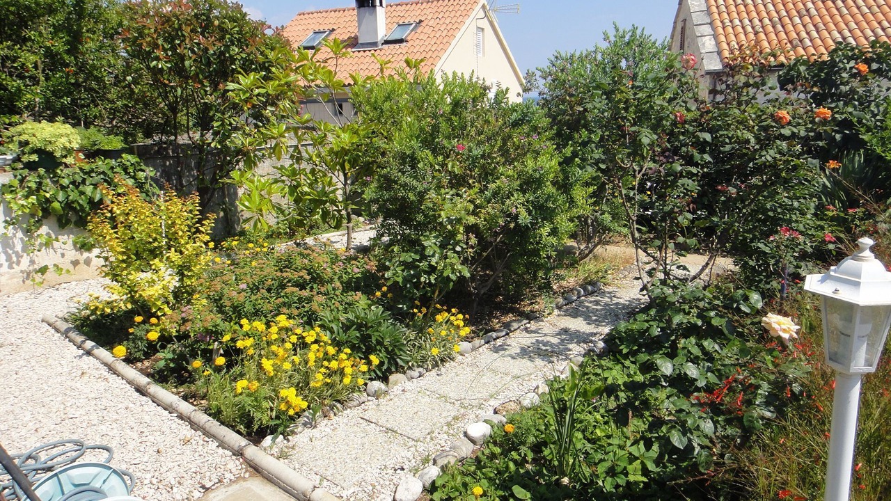 Photo of Outdoor in Orebic