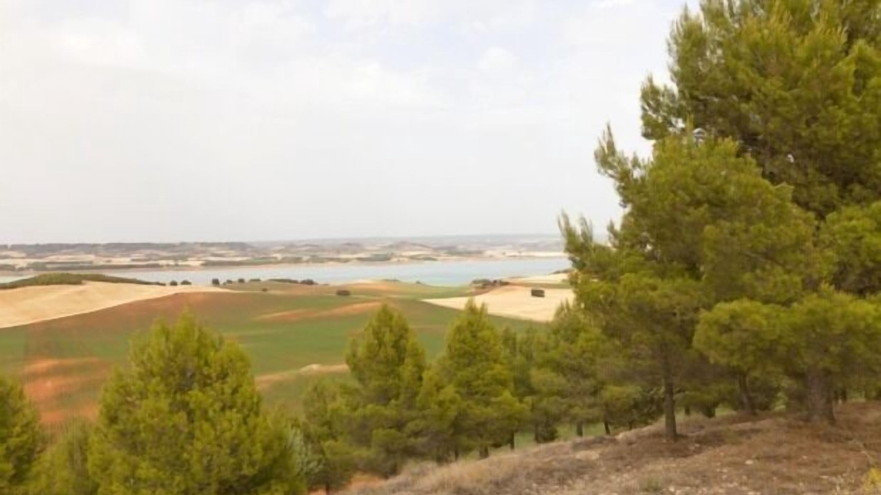 Photo of Others in Torrubia del Castillo
