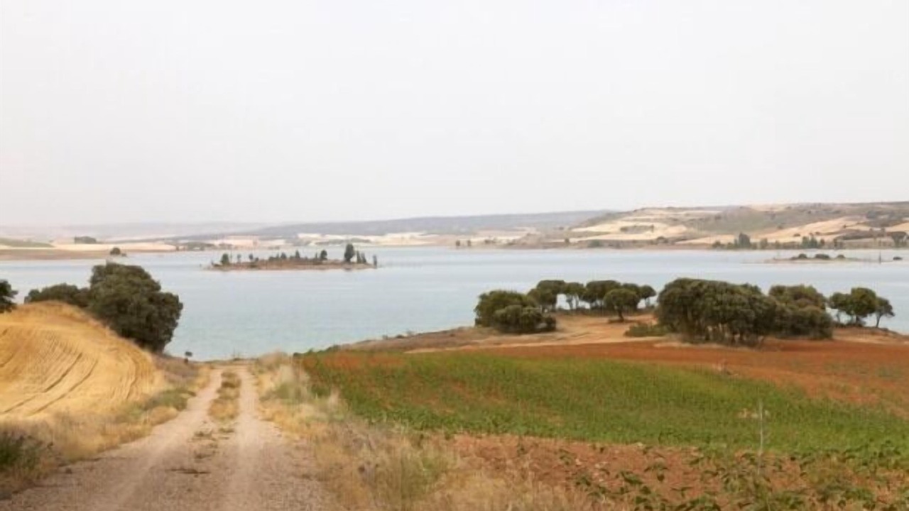 Photo of Others in Torrubia del Castillo