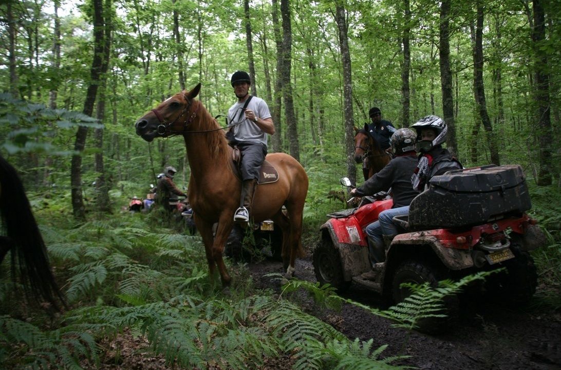 Photo of Outdoor in Les Rotours