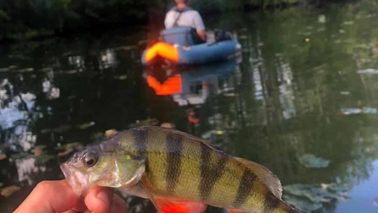 Photo of Others in Les Rotours