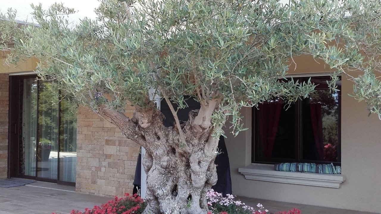 Photo of Outdoor in Les Rotours