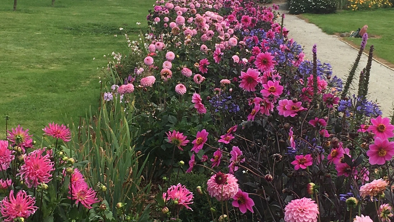 Photo of Patio Balcony in Les Rotours