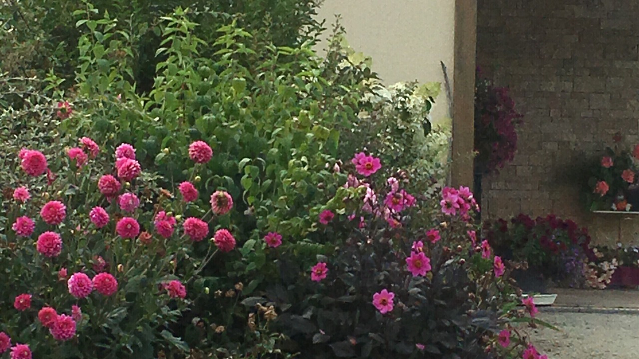 Photo of Others in Les Rotours