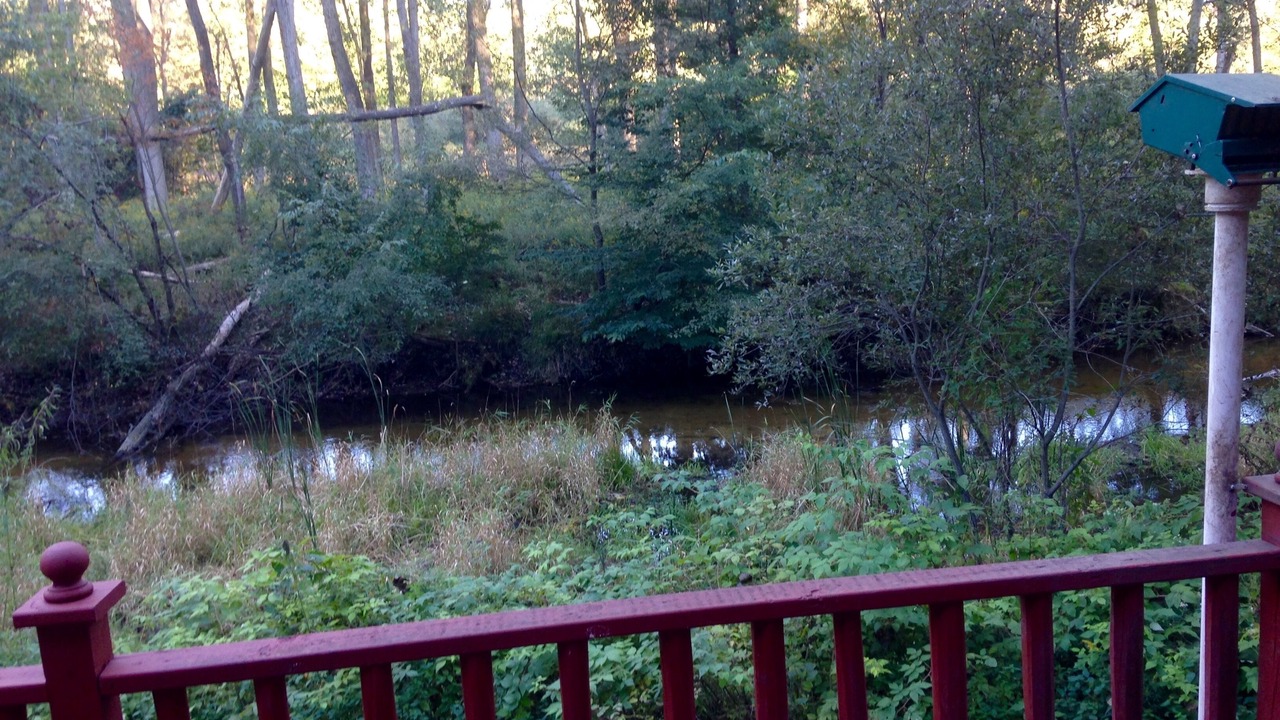 Photo of Outdoor in Silver Lake