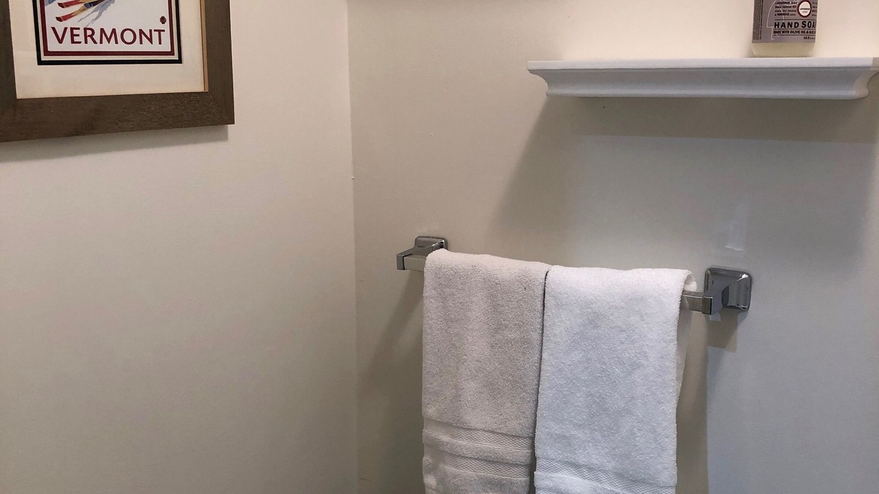 Photo of Others in Bromley Mountain