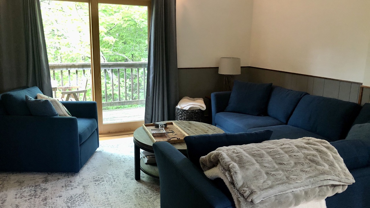 Photo of Livingroom in Bromley Mountain