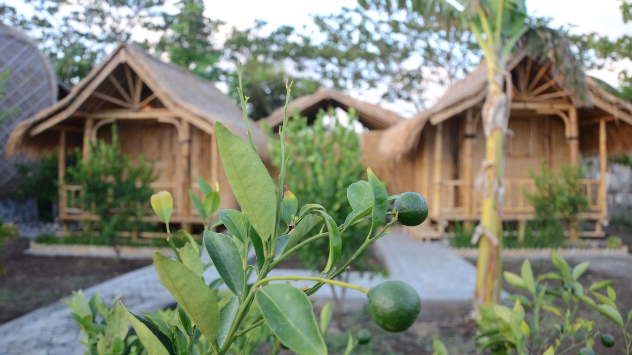 Photo of Outdoor in Jerowaru