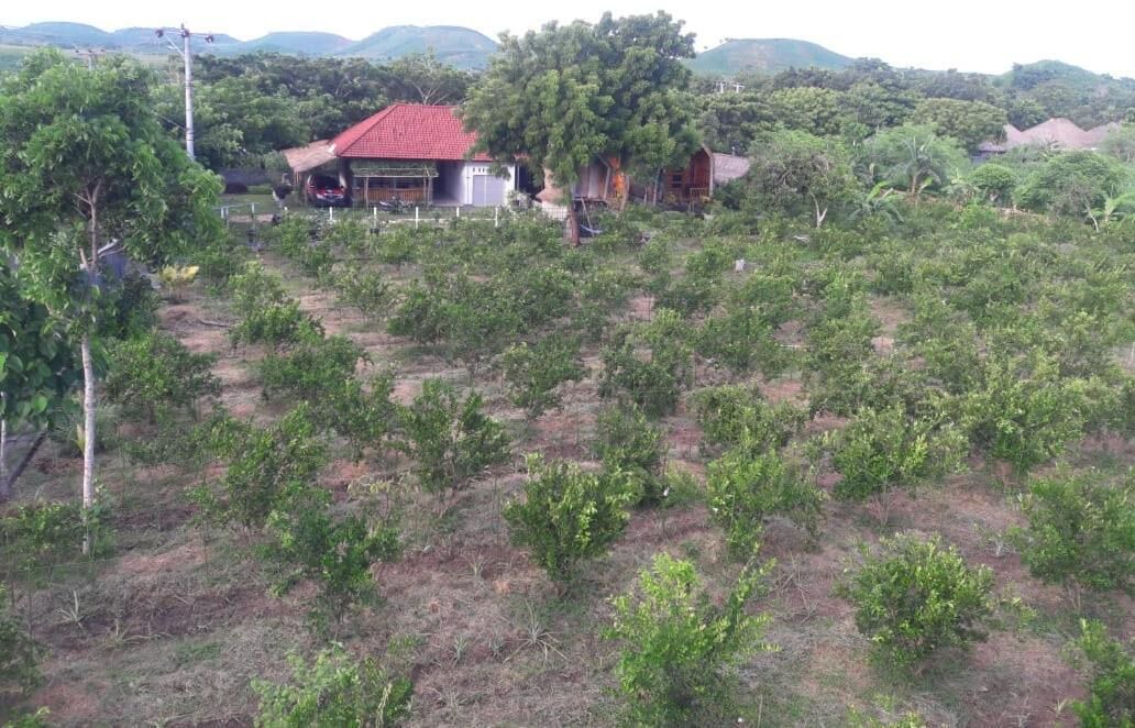 Photo of Outdoor in Jerowaru