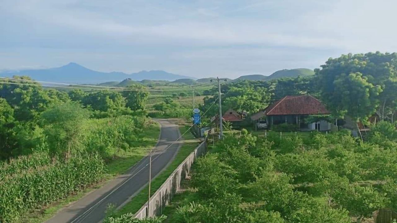 Photo of Outdoor in Jerowaru