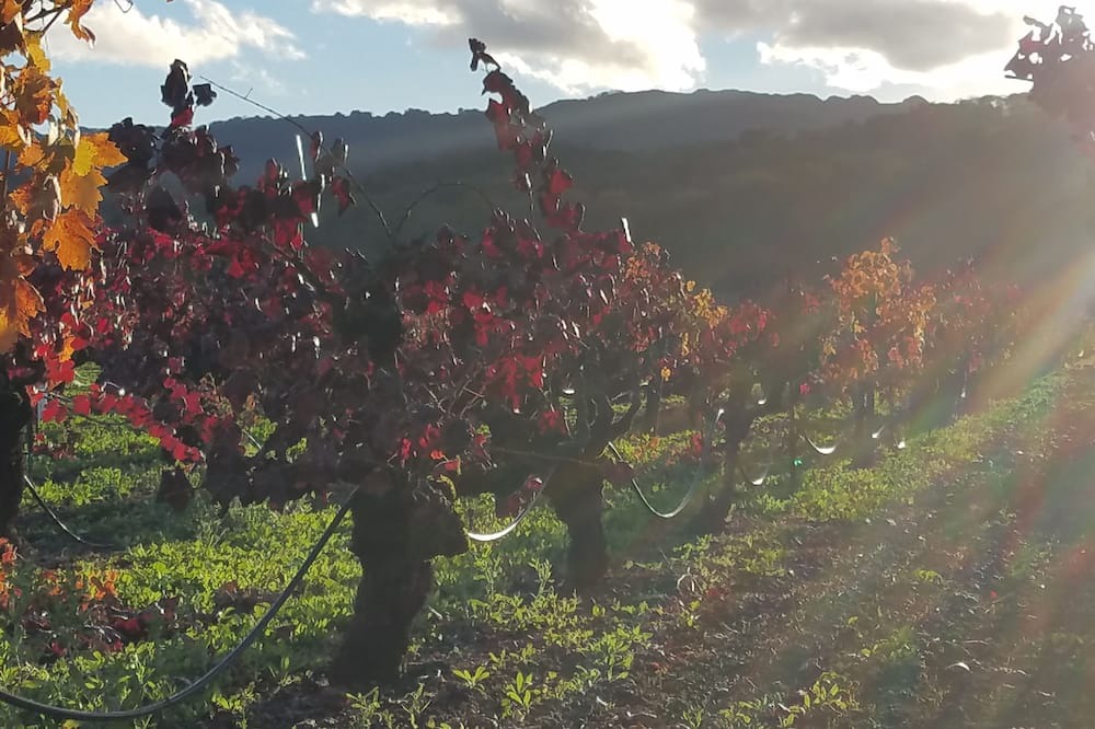 Photo of Others in Fetters Hot Springs-Agua Caliente