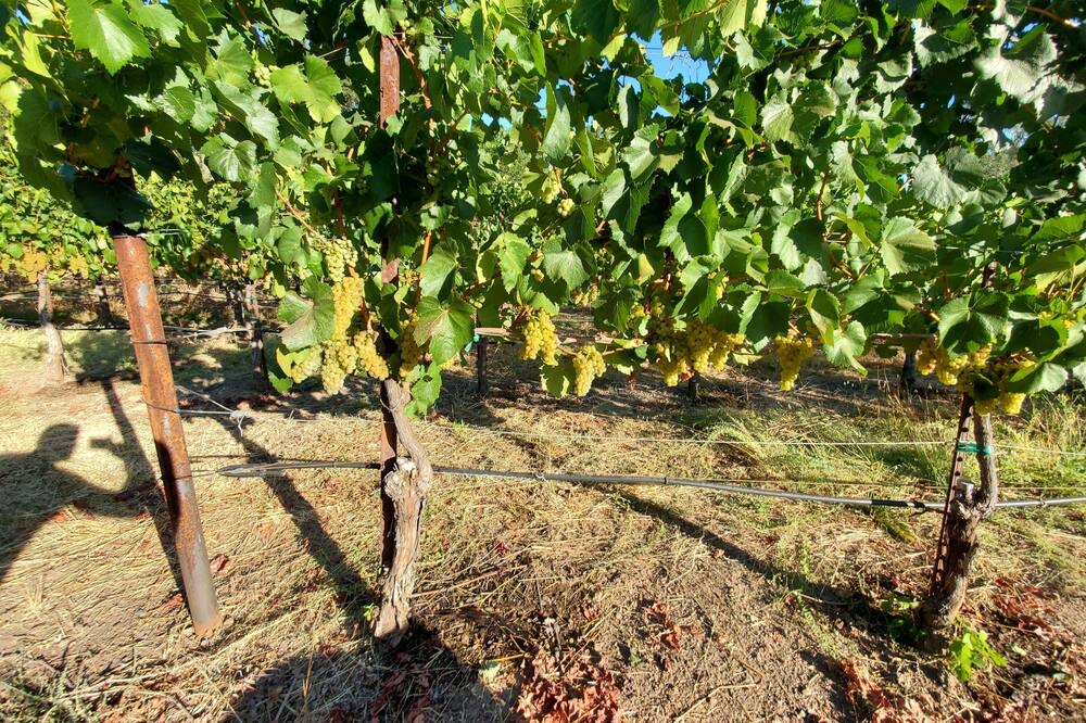 Photo of Outdoor in Fetters Hot Springs-Agua Caliente