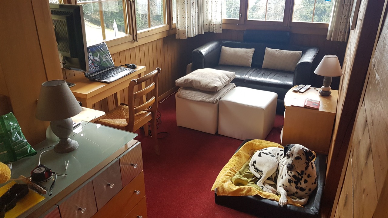 Photo of Livingroom in Corbeyrier