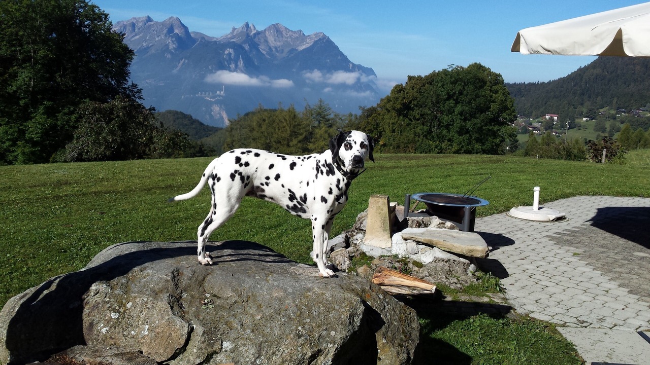 Photo of Outdoor in Corbeyrier