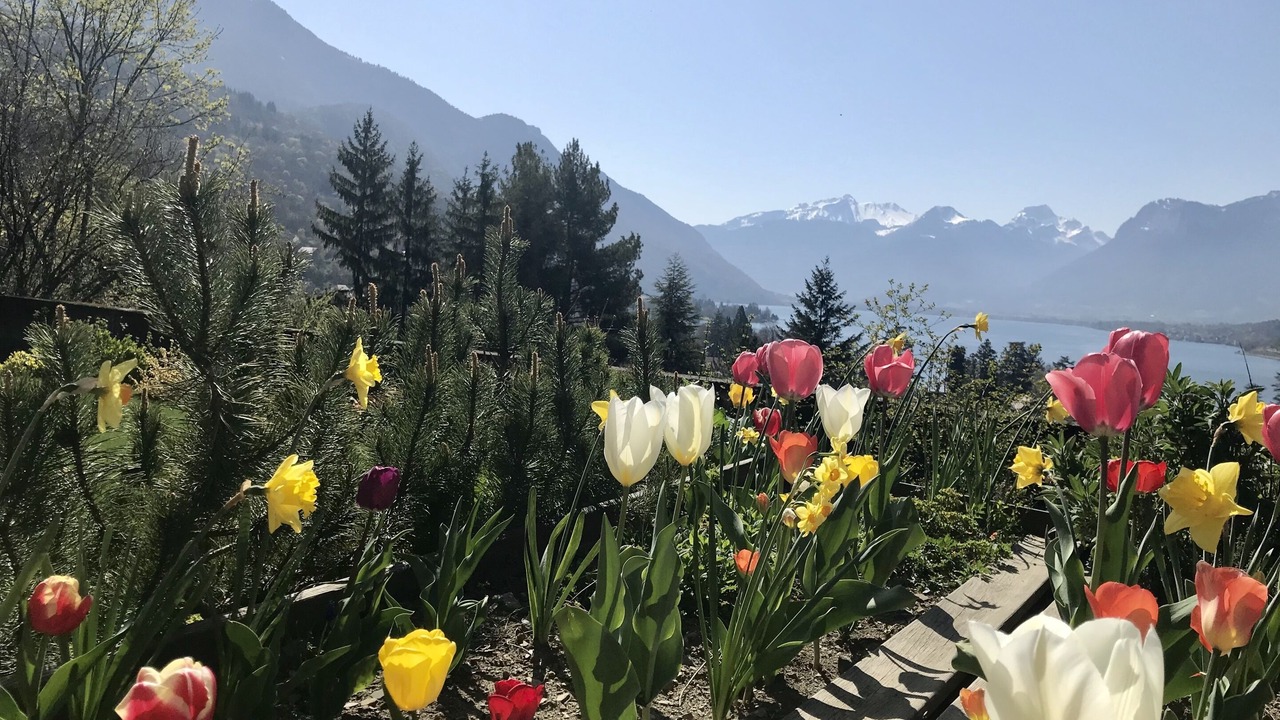 Photo of Outdoor in Talloires-Montmin