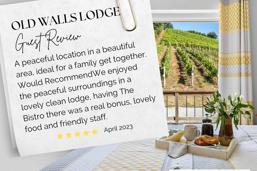 Photo of Others in Teignmouth