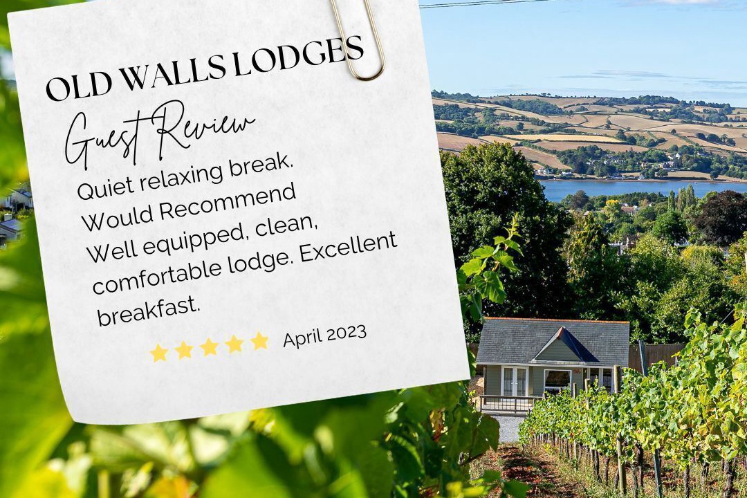 Photo of Others in Teignmouth