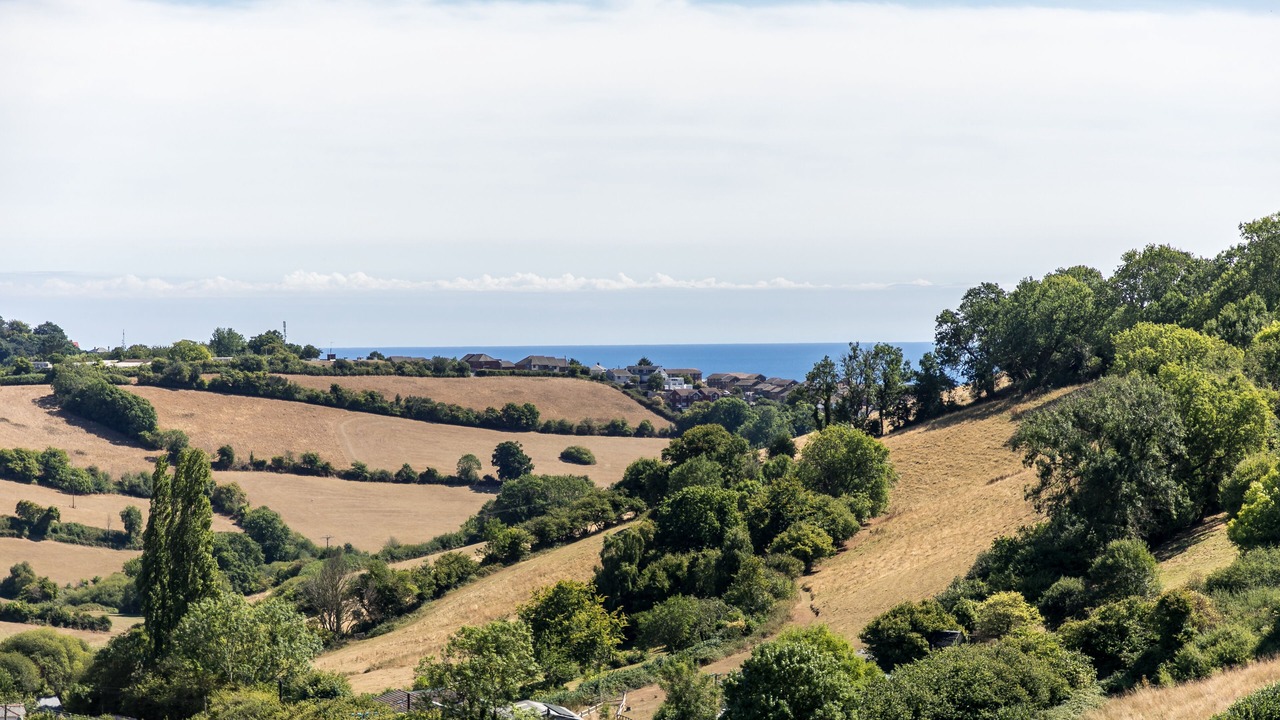 Photo of Patio Balcony in Teignmouth