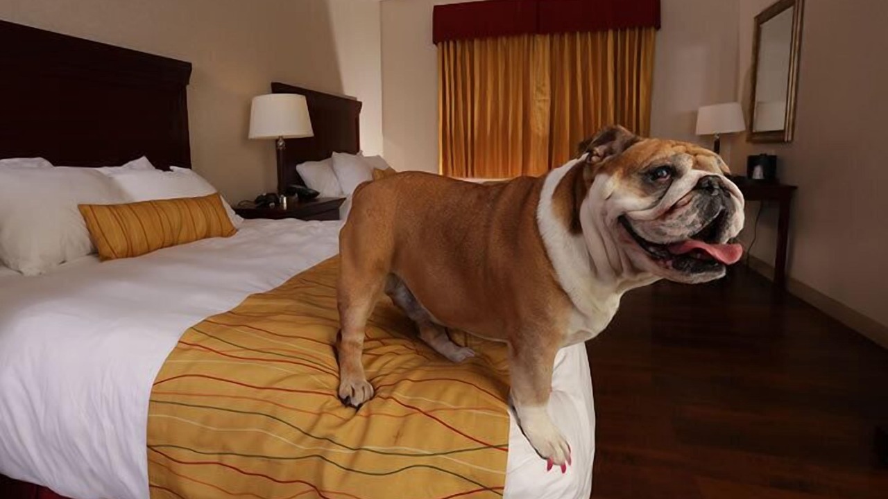 Photo of Bedroom in Saint Stephens