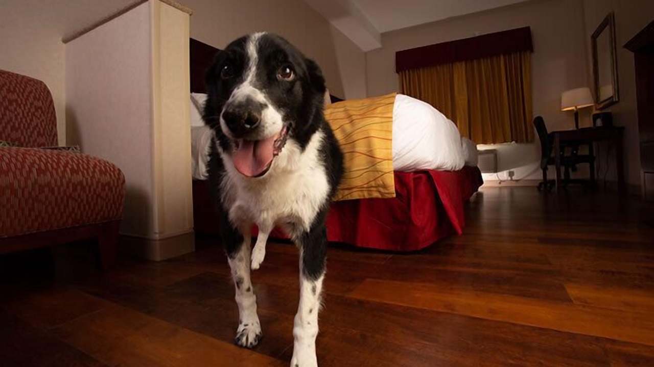 Photo of Bedroom in Saint Stephens