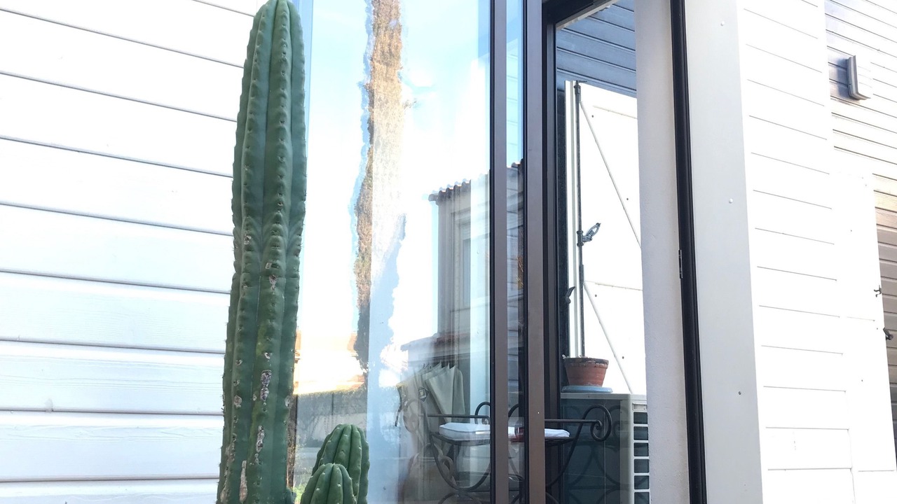 Photo of Outdoor in Le Grau-dʼAgde