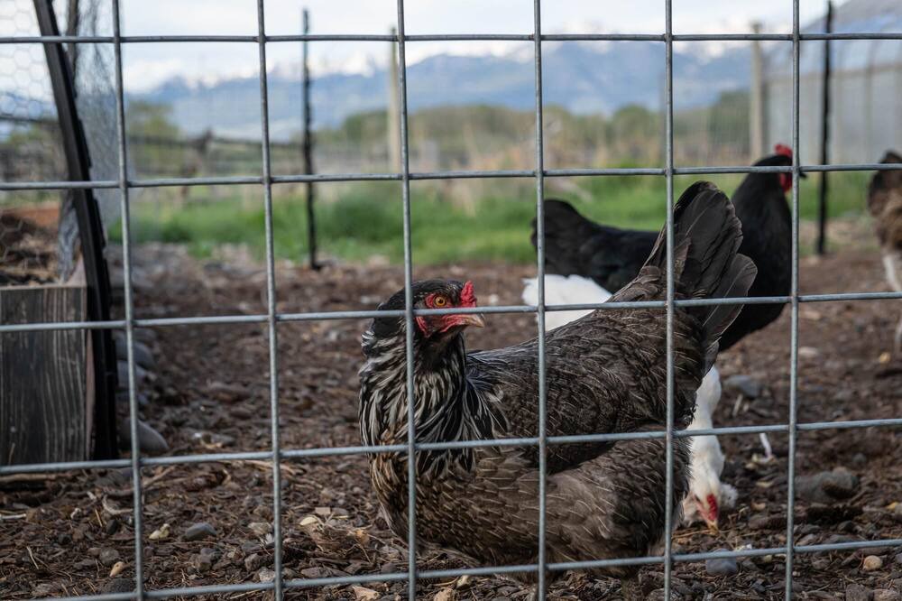 Photo of Others in Pray