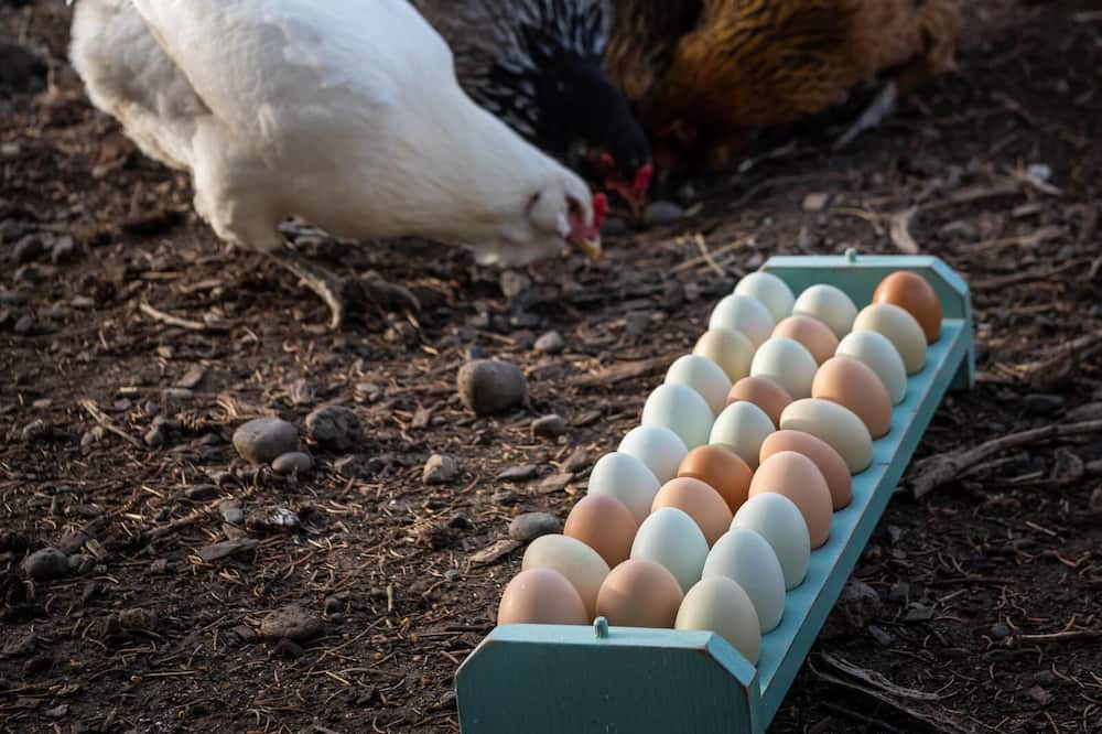 Photo of Others in Pray