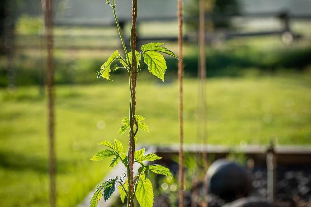 Photo of Others in Pray