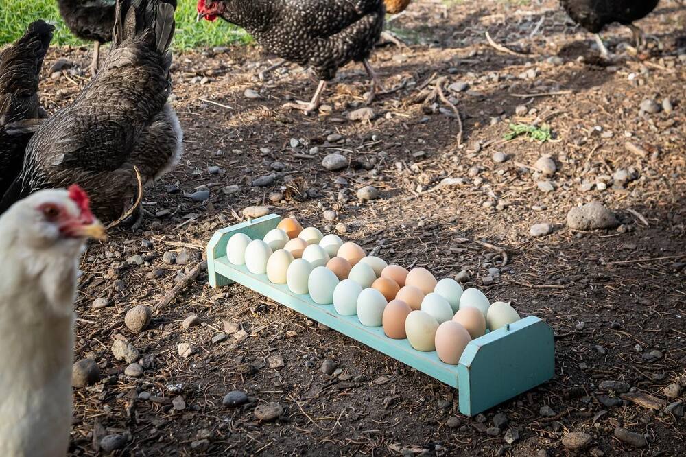 Photo of Others in Pray