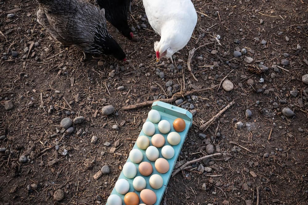 Photo of Others in Pray