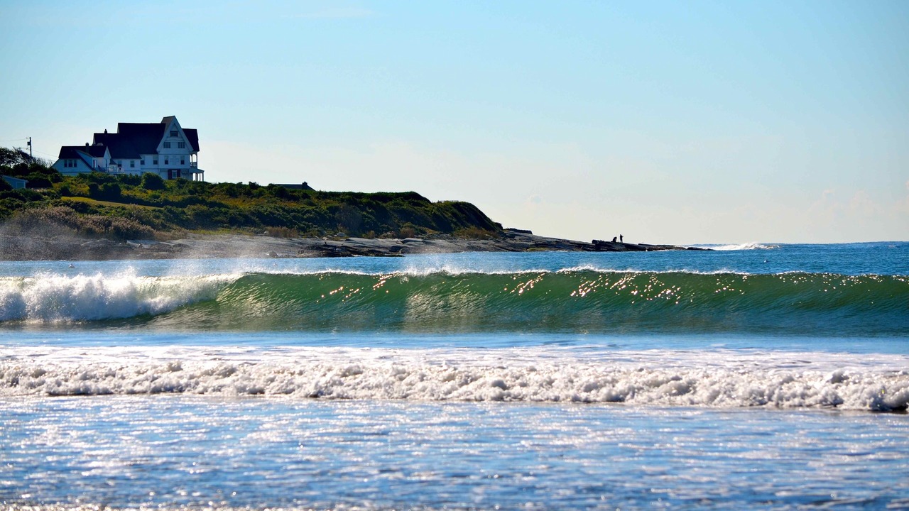 Photo of Others in Newport East