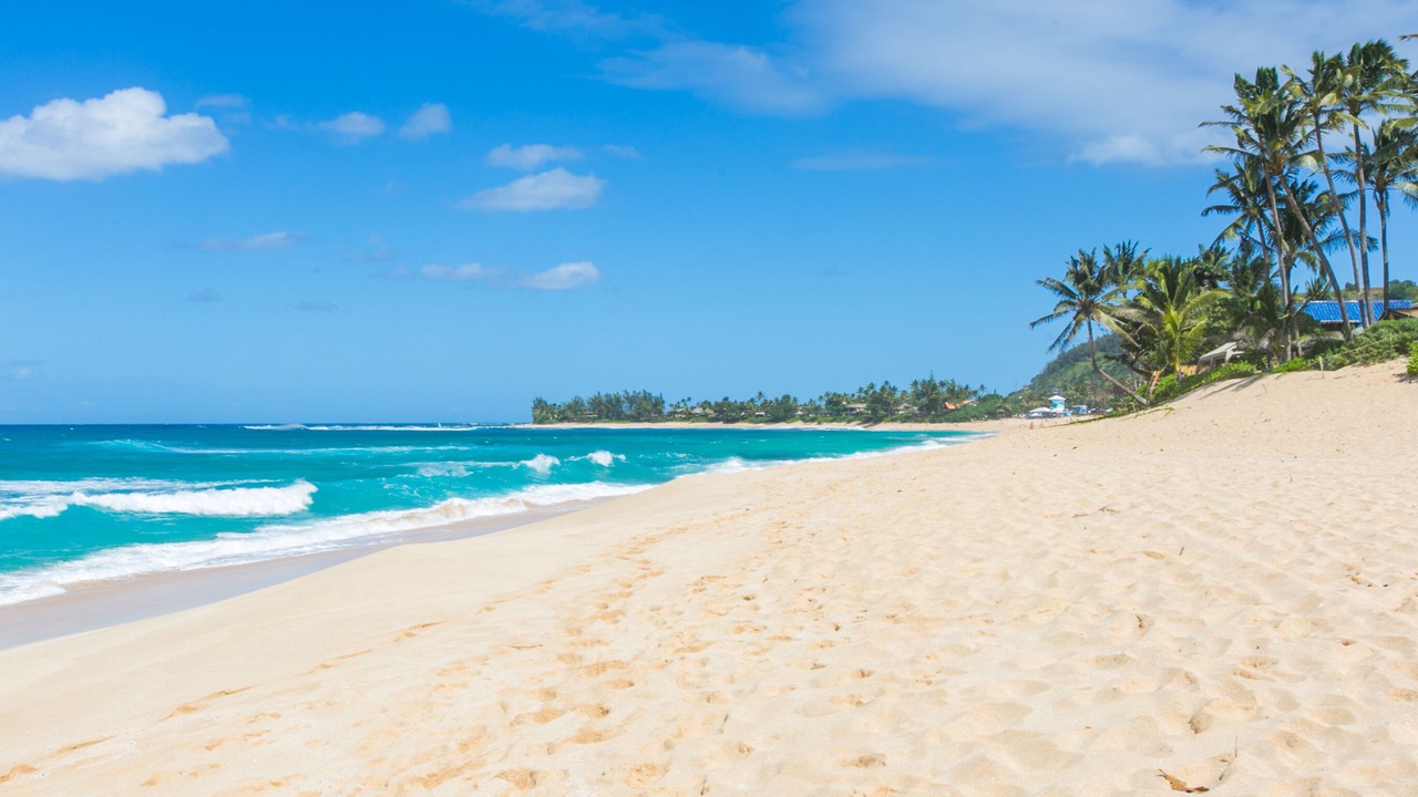 Photo of Others in Pupukea