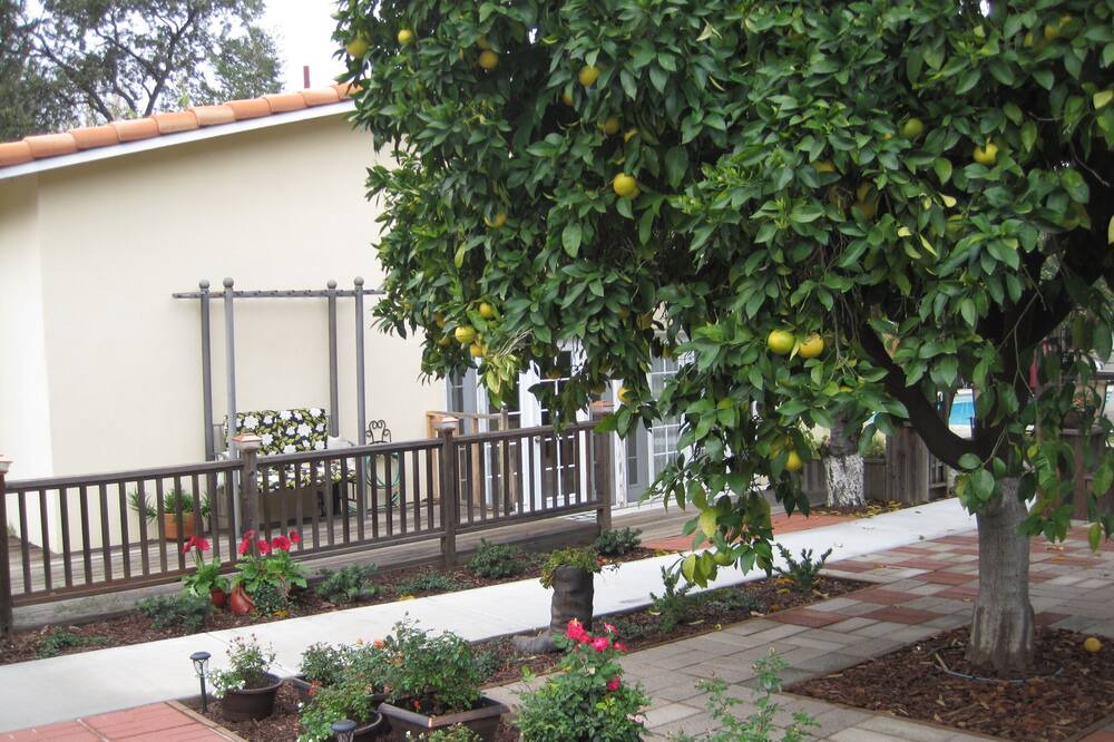 Photo of Outdoor in Fair Oaks