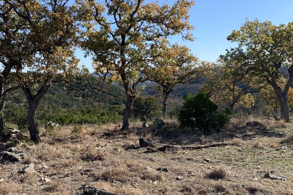 Photo of Outdoor in Tarpley