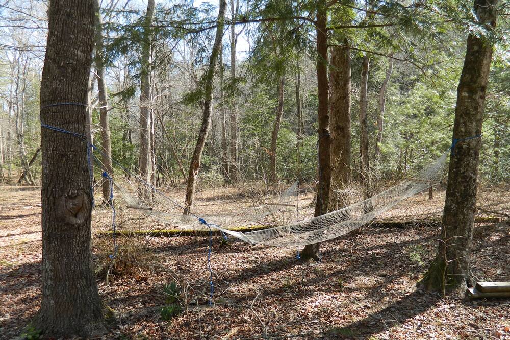 Photo of Others in Dahlonega