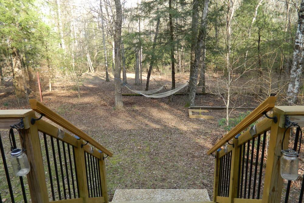 Photo of Others in Dahlonega