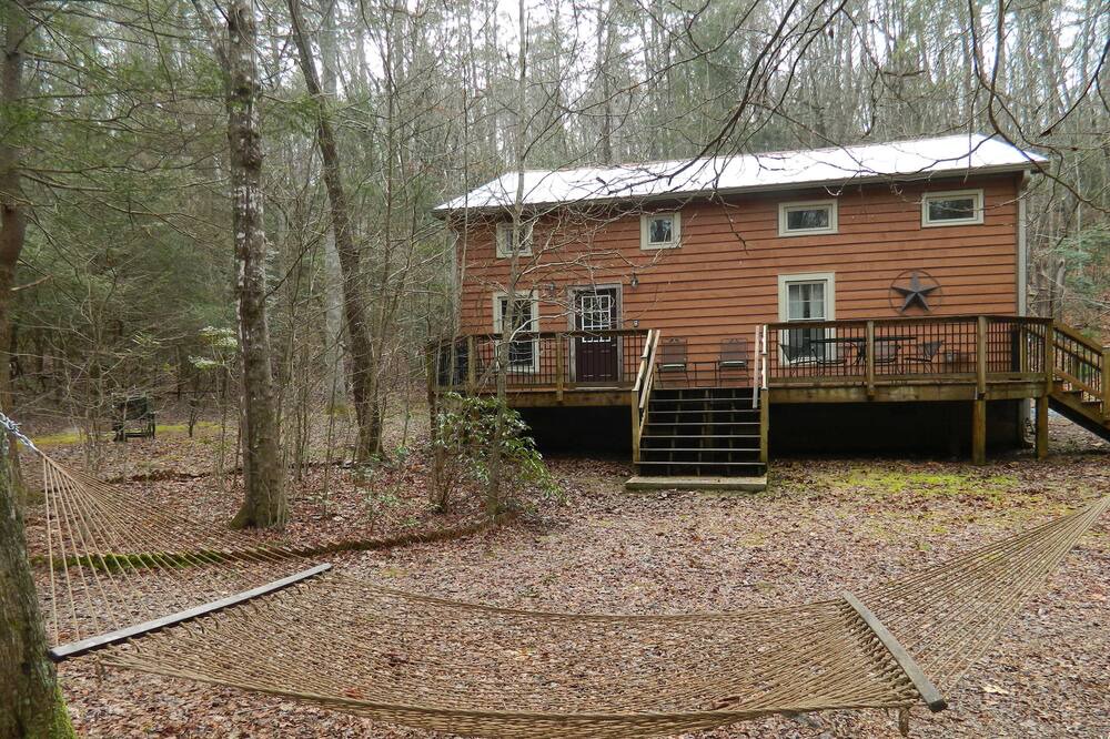 Photo of Others in Dahlonega