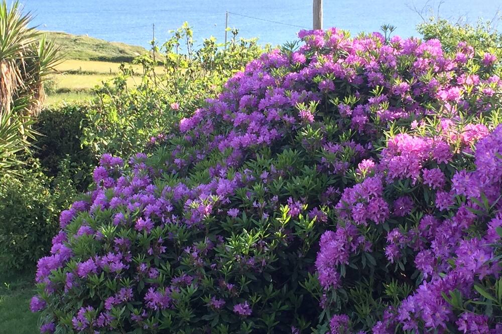 Photo of Outdoor in Fermanville