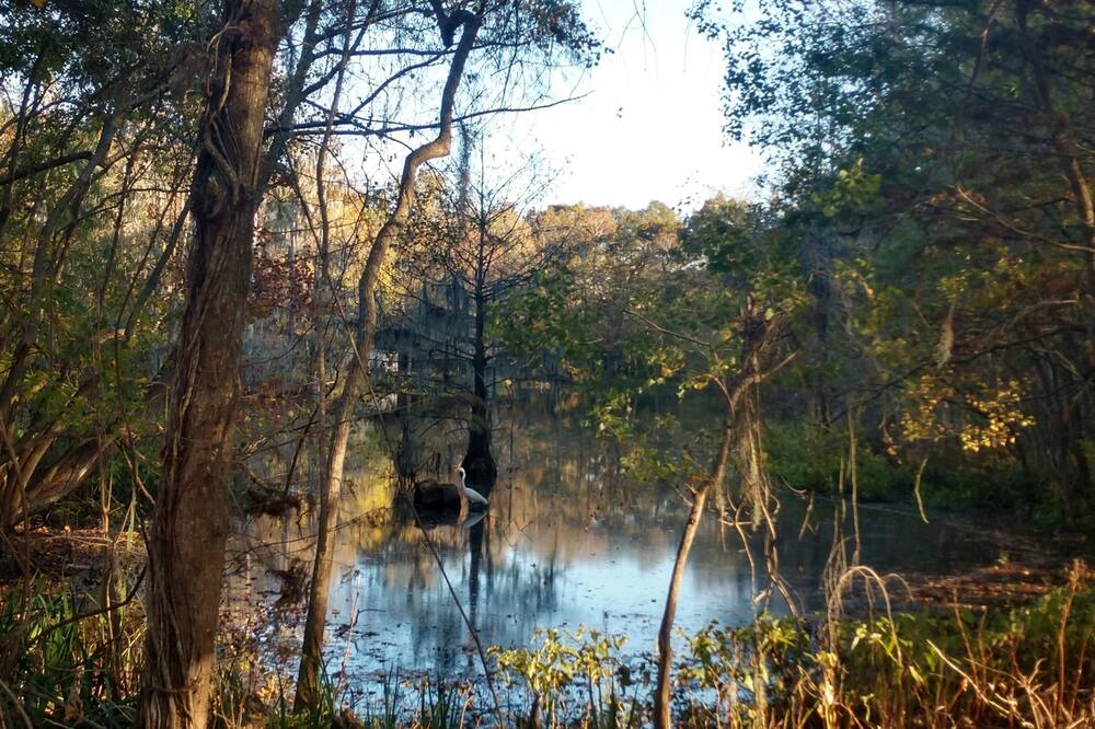 Photo of Outdoor in Votaw