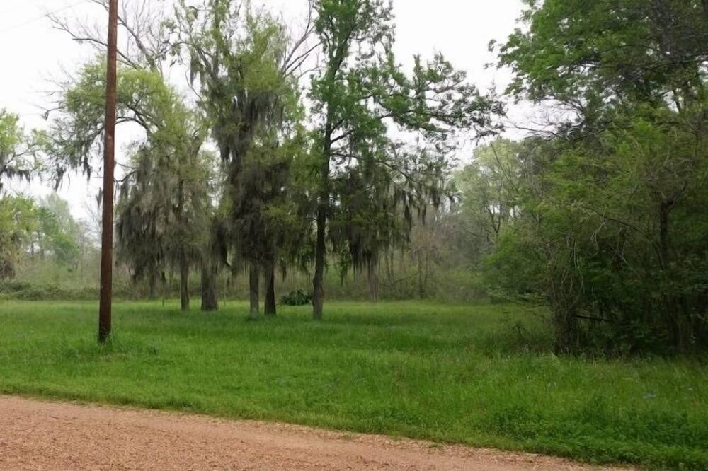 Photo of Outdoor in Votaw