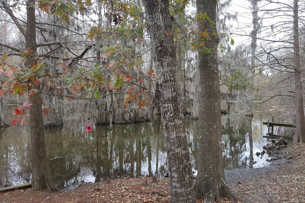 Photo of Outdoor in Votaw