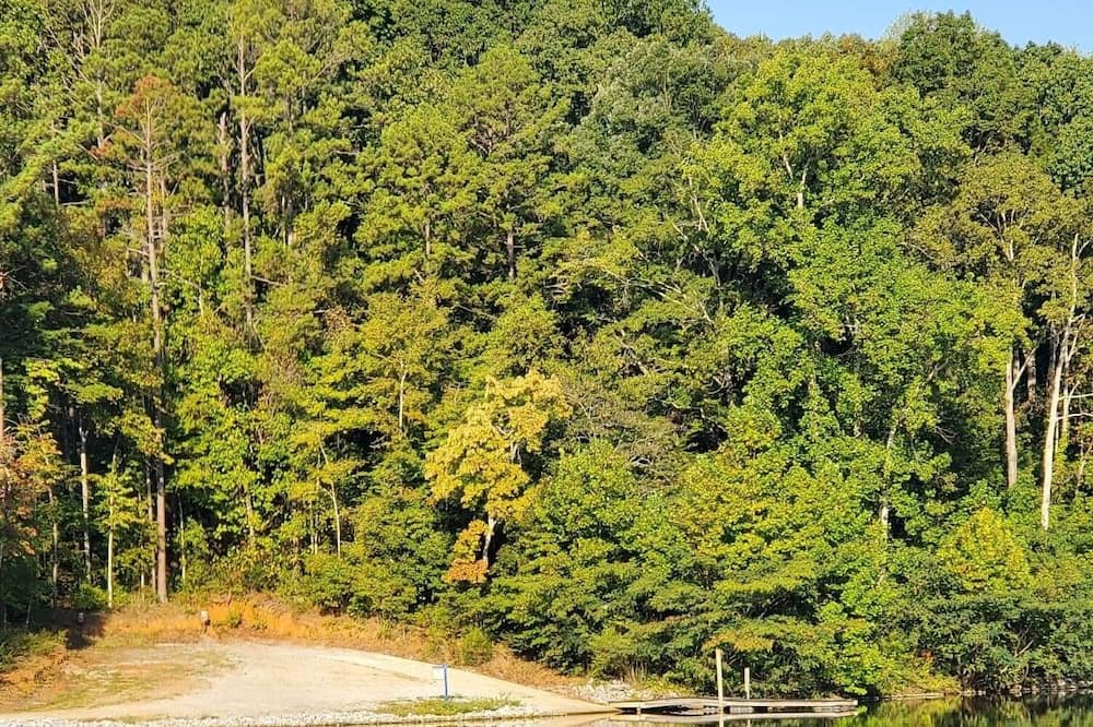 Photo of Others in Talladega