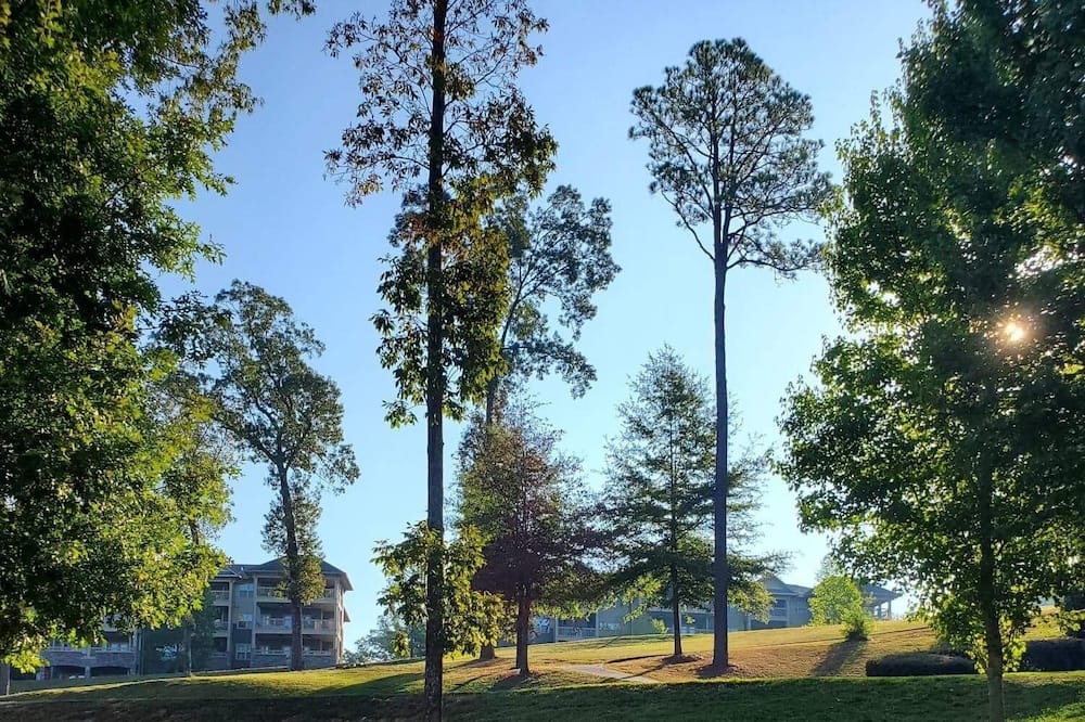 Photo of Others in Talladega