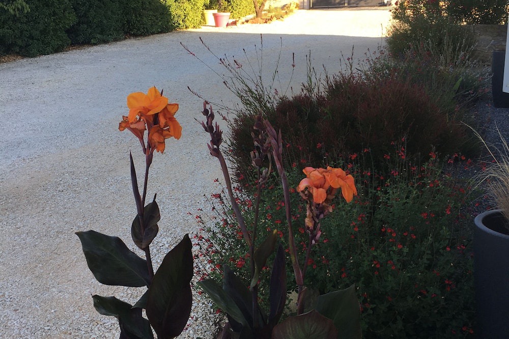 Photo of Outdoor in Saint-Marcel-de-Careiret