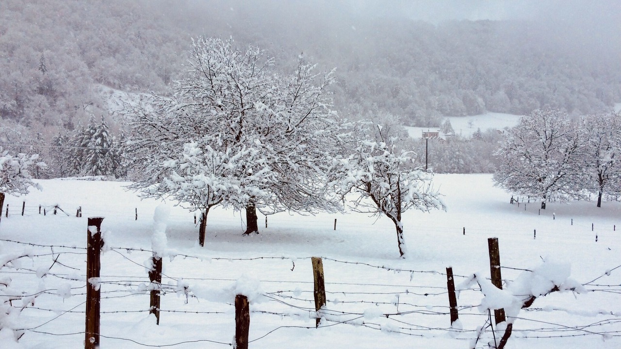 Photo of Others in Saint-Bueil